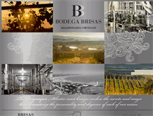 Tablet Screenshot of bodegabrisas.com